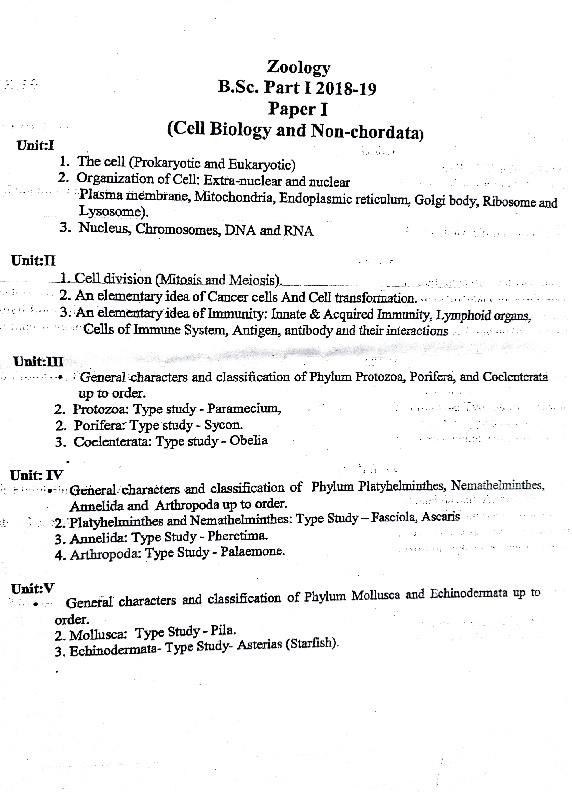 UG PROGRAM SYLLABUS